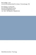 Sozialdemokratische Verfassungstheorie in Der Weimarer Republik