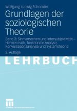 Grundlagen Der Soziologischen Theorie