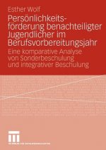 Pers nlichkeitsf rderung Benachteiligter Jugendlicher Im Berufsvorbereitungsjahr