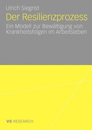 Der Resilienzprozess
