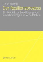 Der Resilienzprozess