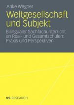 Weltgesellschaft Und Subjekt