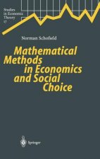Mathematical Methods in Economics and Social Choice