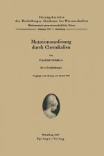 Mutationsausl sung Durch Chemikalien