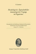 Morphologische  quivalentbilder Immunologischer Vorg nge Im Organismus