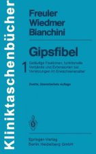 Gipsfibel