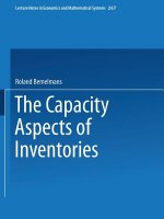 Capacity Aspect of Inventories