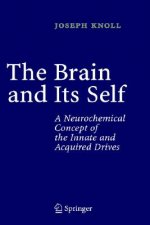 Brain and Its Self