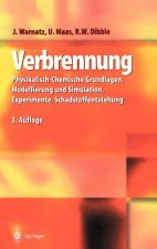 Verbrennung : Physikalisch-Chemische Grundlagen, Modellierung und Simulation, Experimente, Schadstoffentstehung