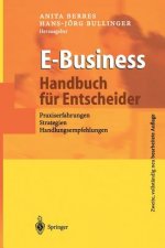 E-Business - Handbuch fur Entscheider