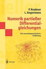 Numerik partieller Differentialgleichungen