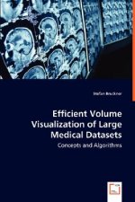 Efficient Volume Visualization of Large Medical Datasets - Concepts and Algorithms