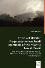 Effects of Habitat Fragmentation on Small Mammals of the Atlantic Forest, Brazil