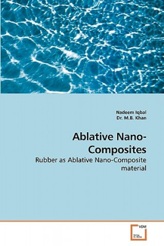 Ablative Nano- Composites