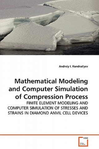 Mathematical Modeling and Computer Simulation of Compression Process
