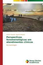 Perspectivas fenomenologicas em atendimentos clinicos