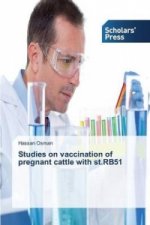 Studies on Vaccination of Pregnant Cattle with St.Rb51