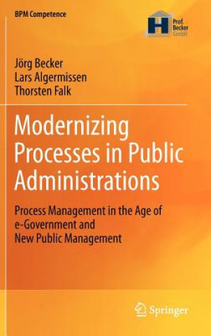 Modernizing Processes in Public Administrations