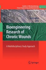 Bioengineering Research of Chronic Wounds