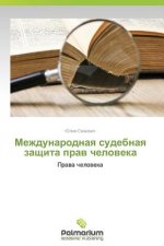 Mezhdunarodnaya Sudebnaya Zashchita Prav Cheloveka