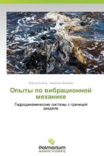 Opyty Po Vibratsionnoy Mekhanike
