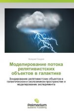 Modelirovanie Potoka Relyativistskikh OBEktov V Galaktike