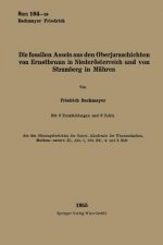 Fossilen Asseln Aus Den Oberjuraschichten Von Ernstbrunn in Niederoesterreich Und Von Stramberg in Mahren
