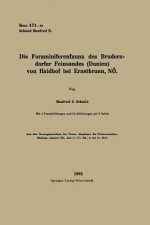 Die Foraminiferenfauna Des Bruderndorfer Feinsandes (Danien) Von Haidhof Bei Ernstbrunn, Noe