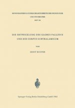 Entwicklung Des Globus Pallidus Und Des Corpus Subthalamicum