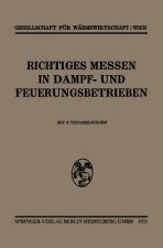 Richtiges Messen in Dampf- Und Feuerungsbetrieben