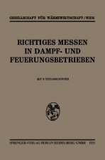 Richtiges Messen in Dampf- Und Feuerungsbetrieben