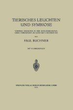 Tierisches Leuchten Und Symbiose