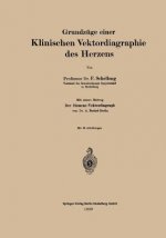 Grundz ge Einer Klinischen Vektordiagraphie Des Herzens