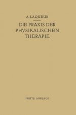 Die Praxis Der Physikalischen Therapie