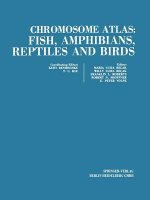 Chromosome Atlas