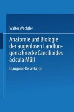 Anatomie Und Biologie Der Augenlosen Landlungenschnecke Caecilioides Acicula Mull