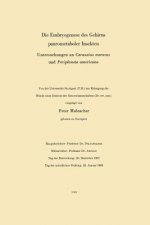 Embryogenese Des Gehirns Paurometaboler Insekten