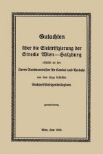 Gutachten UEber Die Elektrifizierung Der Strecke Wien --Salzburg