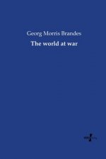 world at war