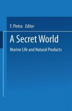 Secret World