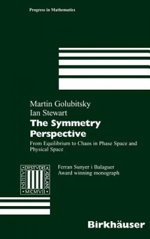 Symmetry Perspective