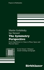 Symmetry Perspective