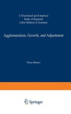 Agglomeration, Growth, and Adjustment