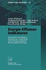 Energie-Effizienz-Indikatoren