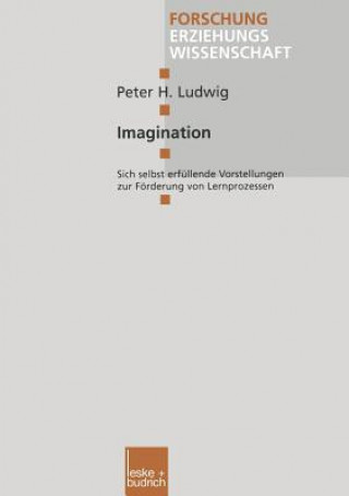 Imagination