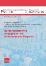 Burgerschaftliches Engagement Im Internationalen Vergleich