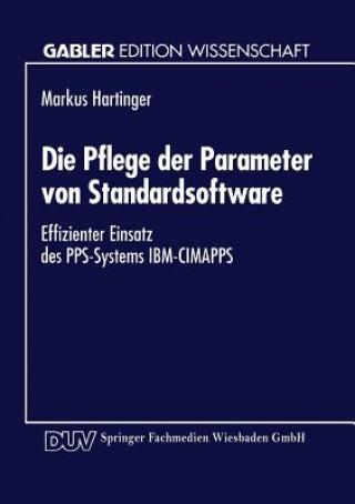 Die Pflege Der Parameter Von Standardsoftware