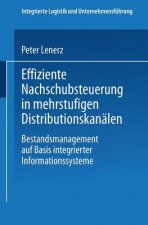 Effiziente Nachschubsteuerung in Mehrstufigen Distributionskanalen