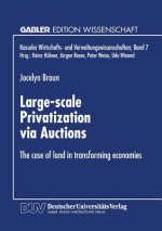 Large-scale Privatization via Auctions