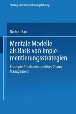 Mentale Modelle ALS Basis Von Implementierungsstrategien